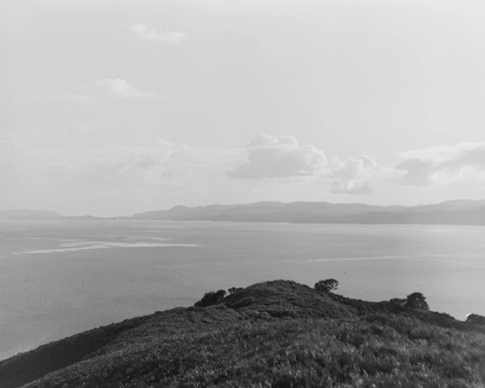 Manukau Heart of the South